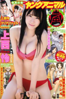 装台电视剧免费观看